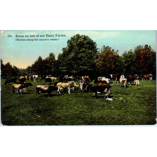 Dairy Farm Scene Cow Pasture c1910 Original Postcard P2-1