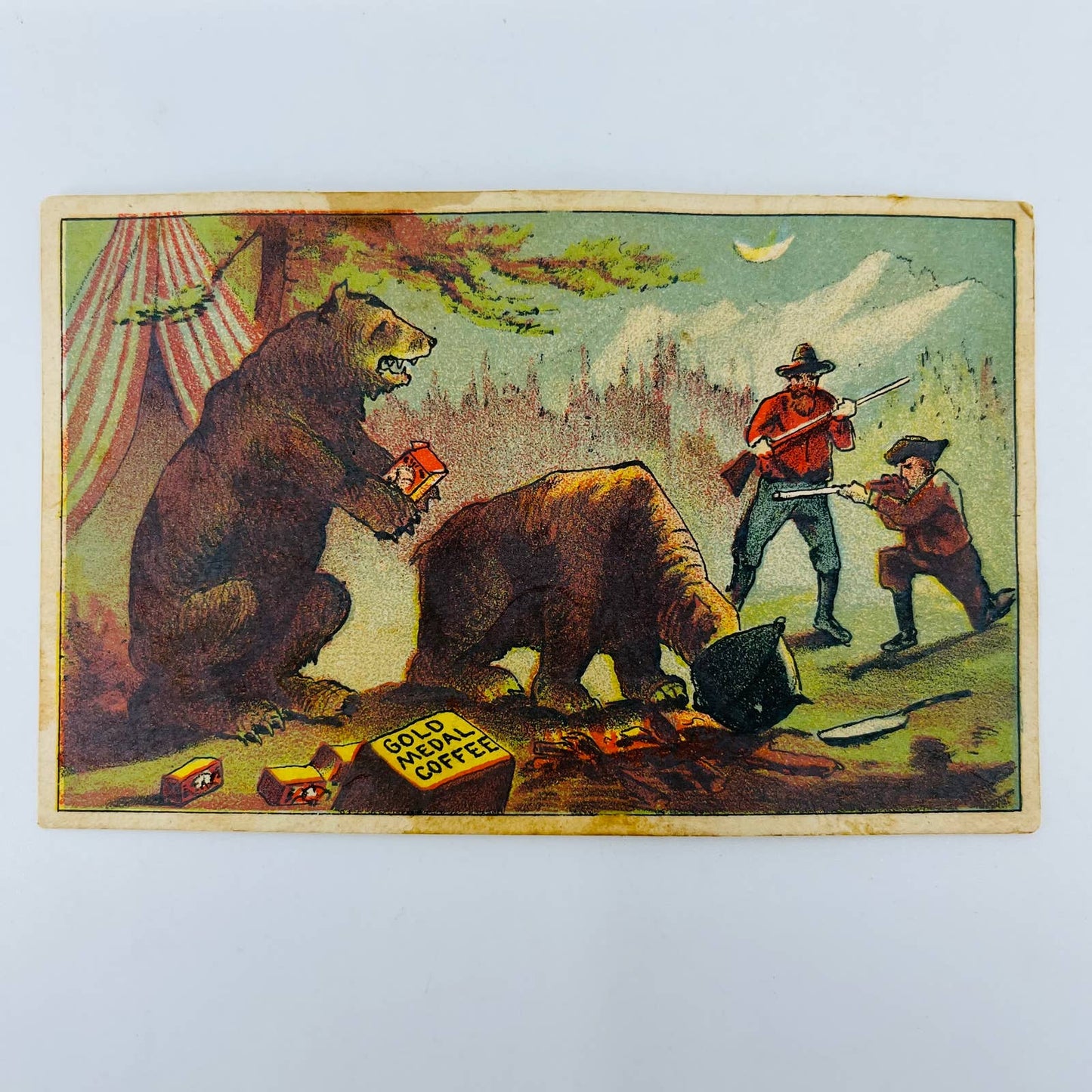 1880s Victorian Trade Card Gold Medal Coffee Grizzly Bear Hunters Hunting AA2