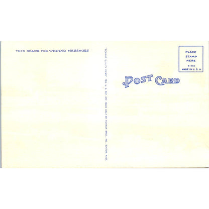 Horse Racing at Gulfstream Park Hallandale Hollywood FL 1950s Postcard TK1-23