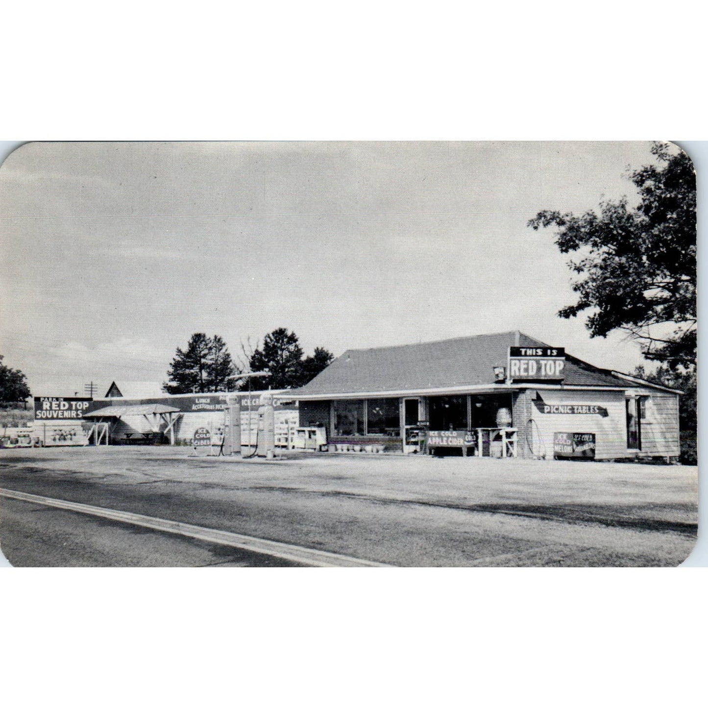 Red Top Station and Gift Shop Bellton Georgia - Original Postcard TJ7-RP2