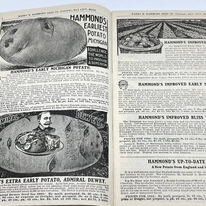 Harry Hammond Seed Co. 1904 Catalog Bay City MI Giant Potato Sensation TF7
