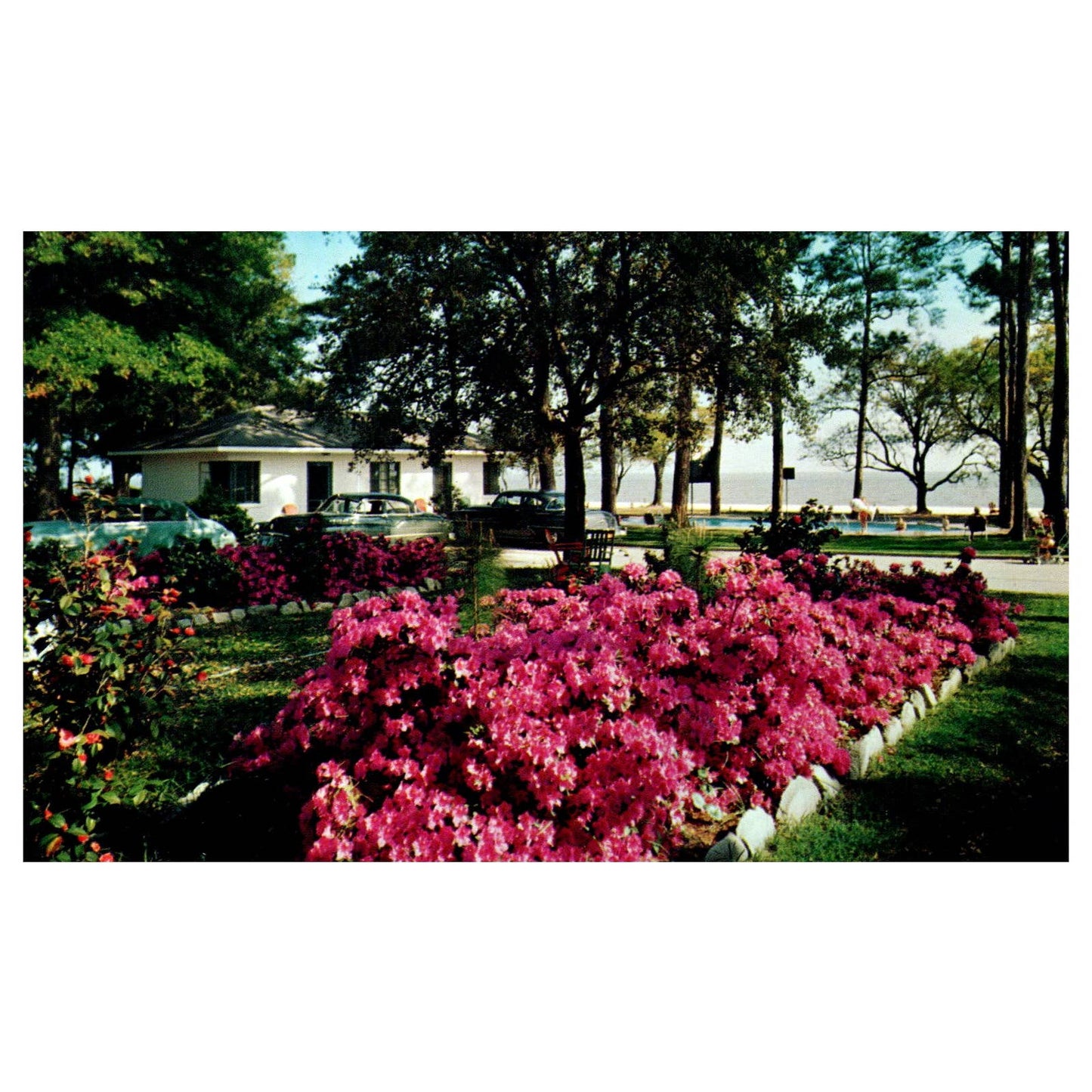 Sea Gull Tourist Court West Beach Biloxi Mississippi - Postcard TJ8-1