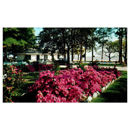 Sea Gull Tourist Court West Beach Biloxi Mississippi - Postcard TJ8-1