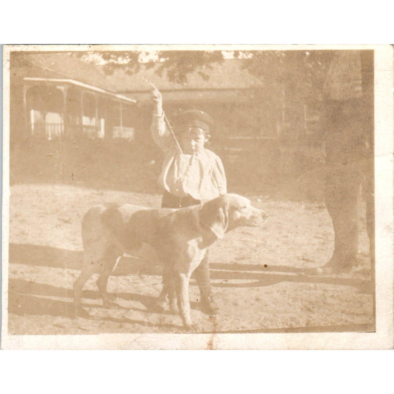 Antique RPPC Postcard Trimmed Boy in Hat Posing With Beagle Hound Dog SE5