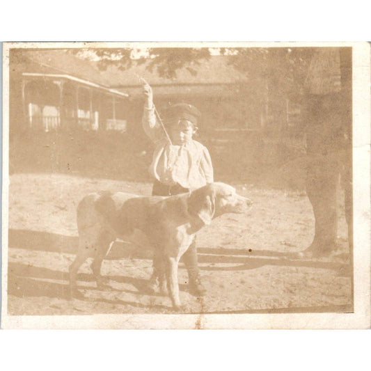 Antique RPPC Postcard Trimmed Boy in Hat Posing With Beagle Hound Dog SE5