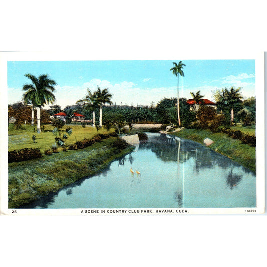 A Scene in Country Club Park Havana Cuba Original Postcard P3-1