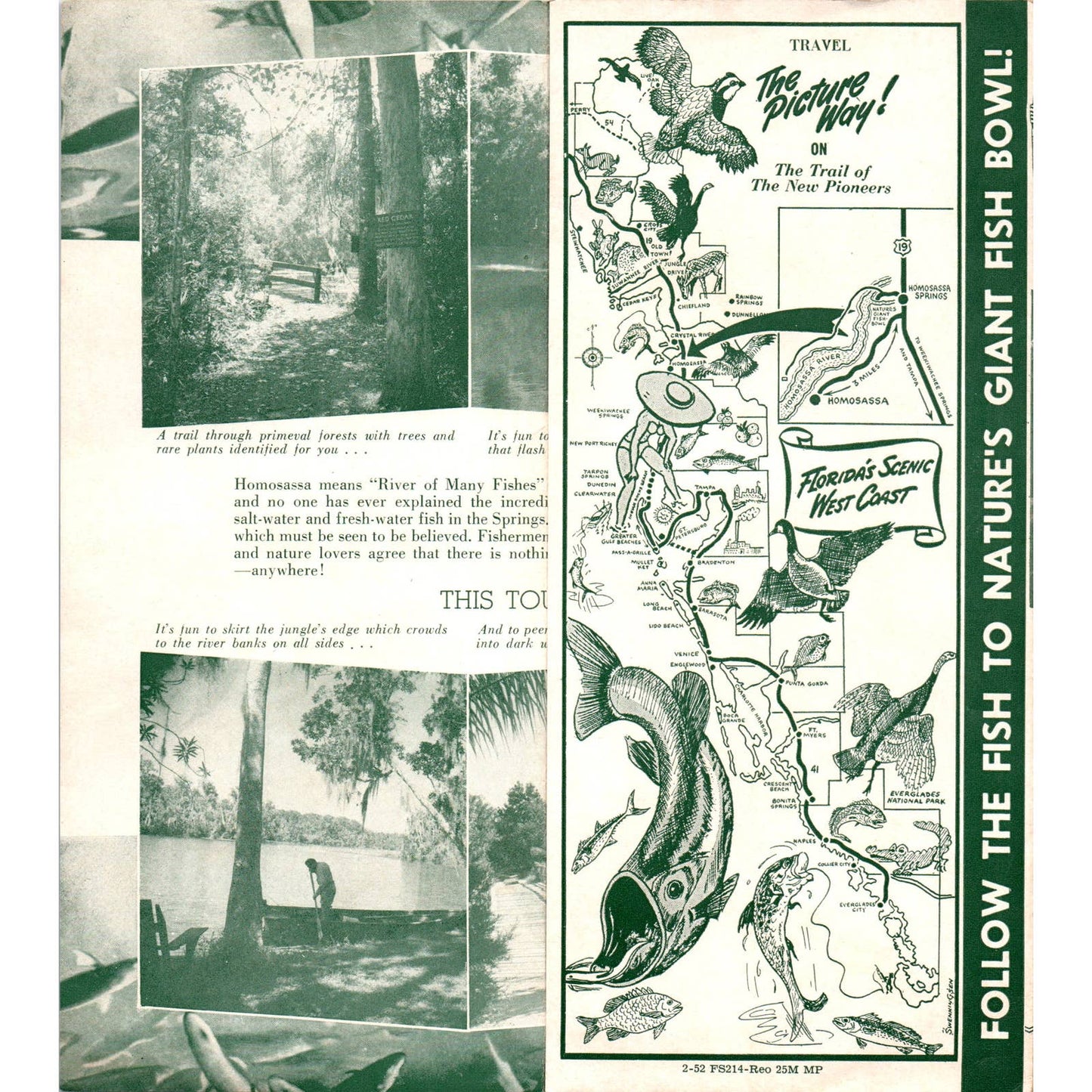 1950s Nature's Giant Fish Bowl Homosassa Springs Fold Out Travel Brochure SE3-4