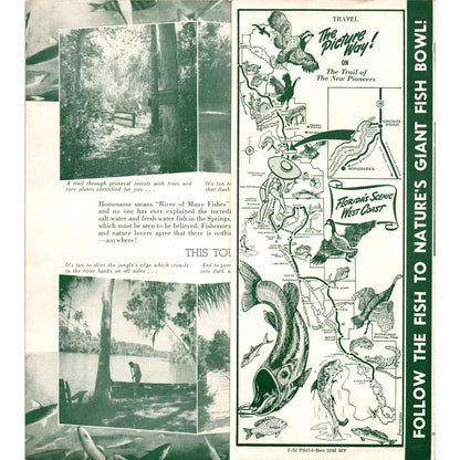 1950s Nature's Giant Fish Bowl Homosassa Springs Fold Out Travel Brochure SE3-4