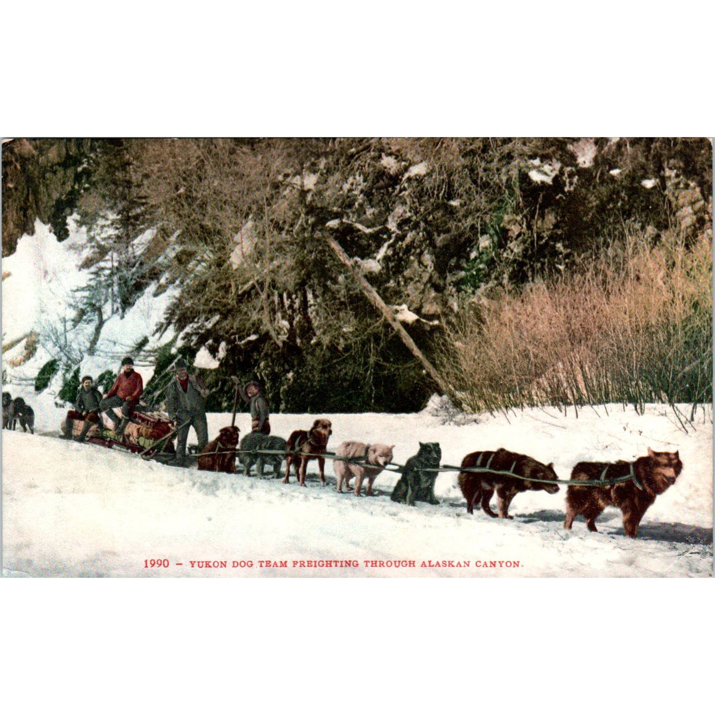 Yukon Dog Team Freighting Canyon in Alaska Original Postcard TK1-30