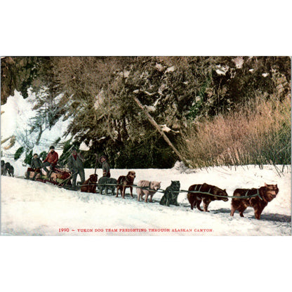 Yukon Dog Team Freighting Canyon in Alaska Original Postcard P2-6