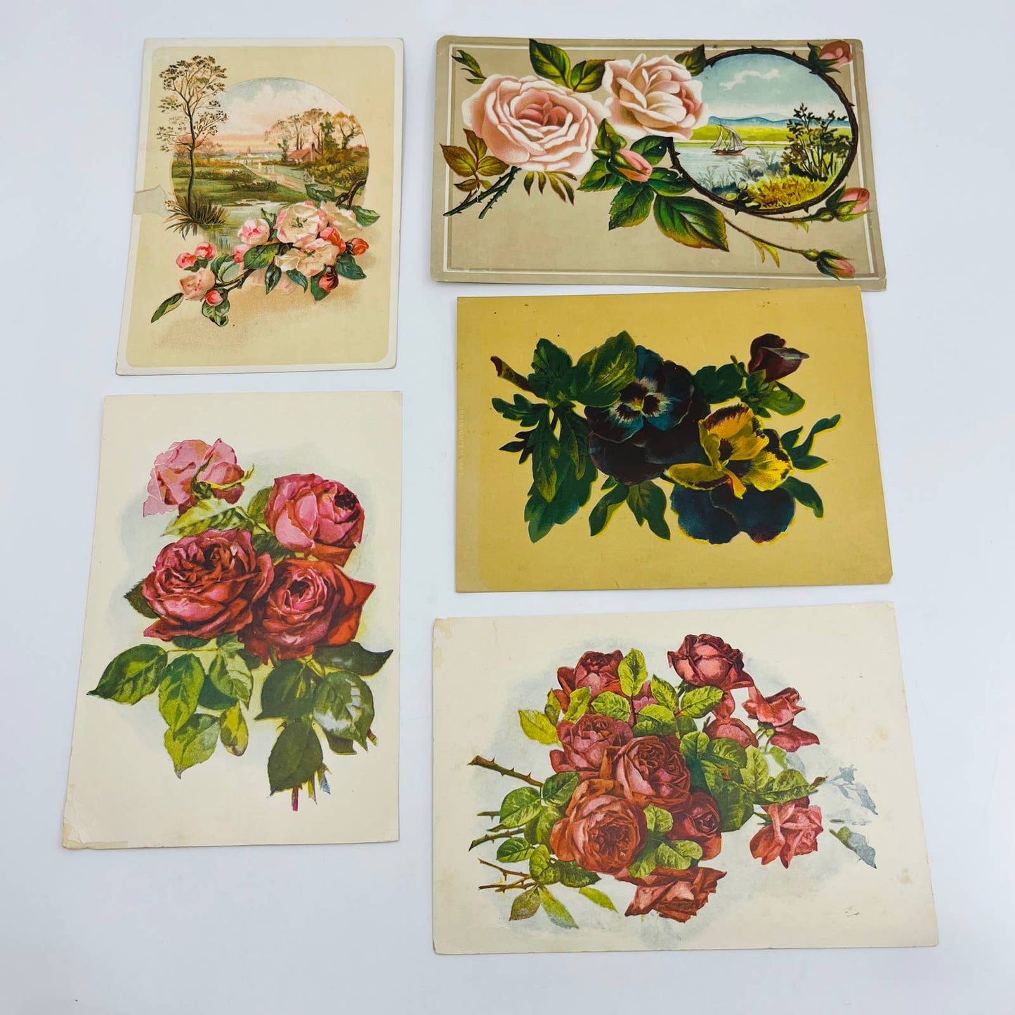 1880s Victorian Lithograph Card Scrap Set of 5 Flowers Roses 6” EA2