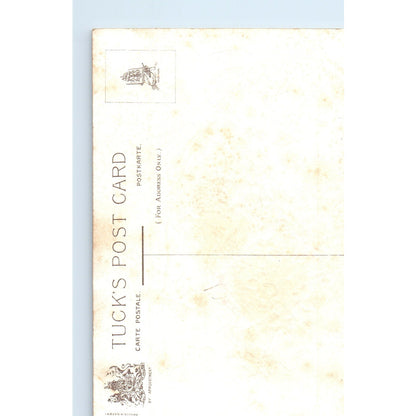 Birthday Series No. 105 Raphael Tuck Original Postcard P2-12