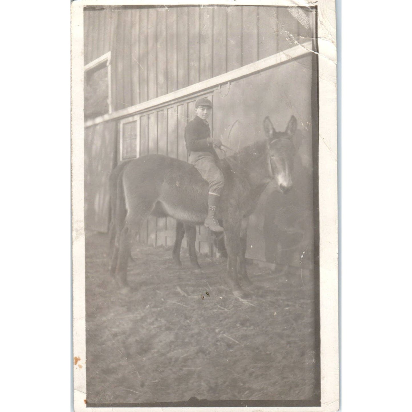 Antique Postcard RPPC Boy Riding a Donkey Outside of a Barn SE8
