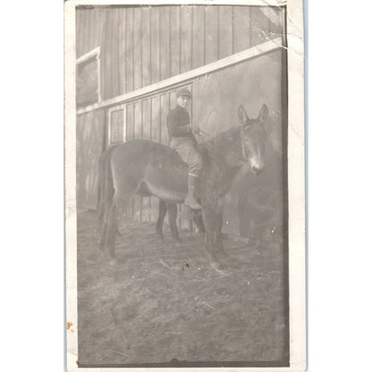 Antique Postcard RPPC Boy Riding a Donkey Outside of a Barn SE8