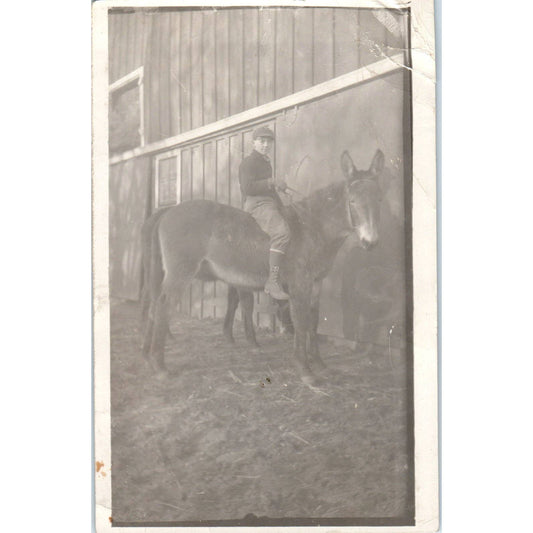 Antique Postcard RPPC Boy Riding a Donkey Outside of a Barn SE8
