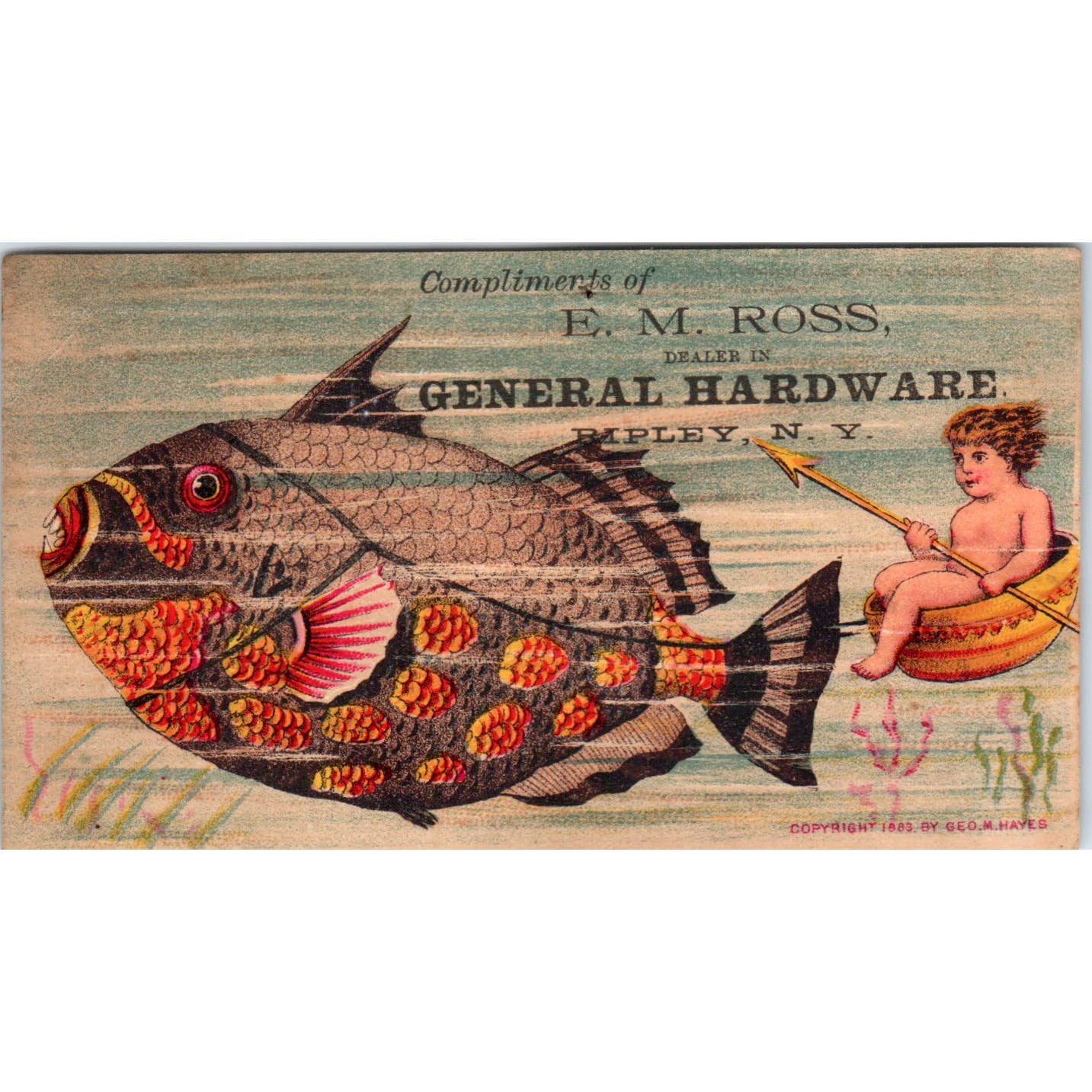 1880s Trade Card E.M. Ross Hardware Ripley NY Fantasy Cherub Tropical Fish SF2-2