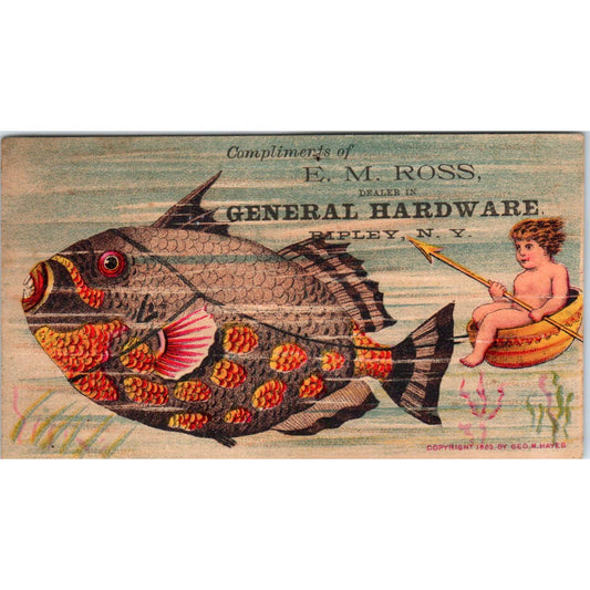 1880s Trade Card E.M. Ross Hardware Ripley NY Fantasy Cherub Tropical Fish SF2-2