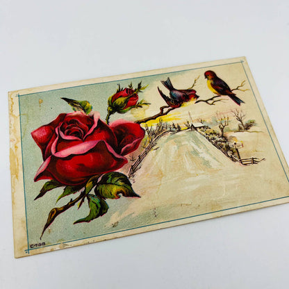 Victorian 1880s Trade Card Lion Coffee Woolson Toledo OH Birds & Roses AA2