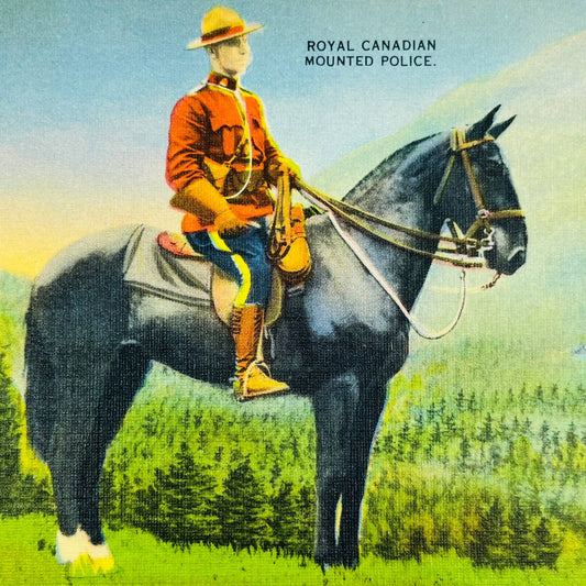 Vintage Postcard CANADA Royal Canadian Mounted Police Mountie Horse  PA8