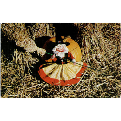 The Original Minikins Mother Goose Doll Card Original Postcard PB8