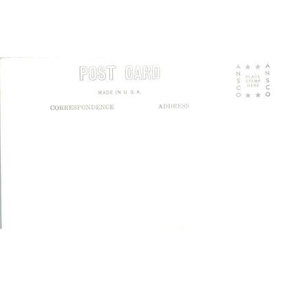 Vintage Postcard Cooks Cabin, Mt. Spokane Washington TD9-W2