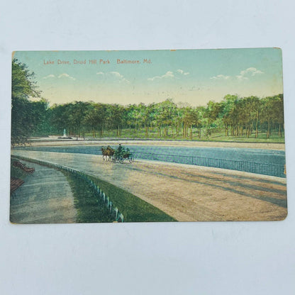 1910s BALTIMORE, MD Lake Drive Druid Hill Park Horse Drawn Carriage PA8