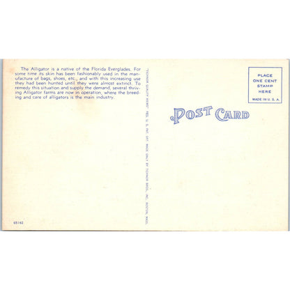 Giant Alligator From Florida on a Train Car Humor Original Postcard TK1-24