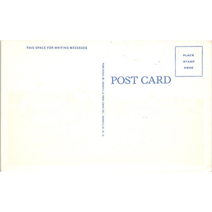 Polo - An Interesting Sport in the Southland Original Postcard TK1-24