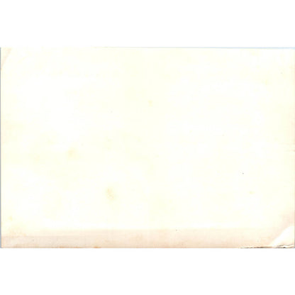 c1950 Original Photograph United States Naval Officers Navy 5x7 SE5