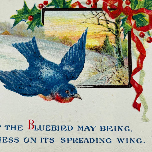 1910s Christmas Post Card Embossed Bluebird of Happiness Poem Sunset Snow PA4