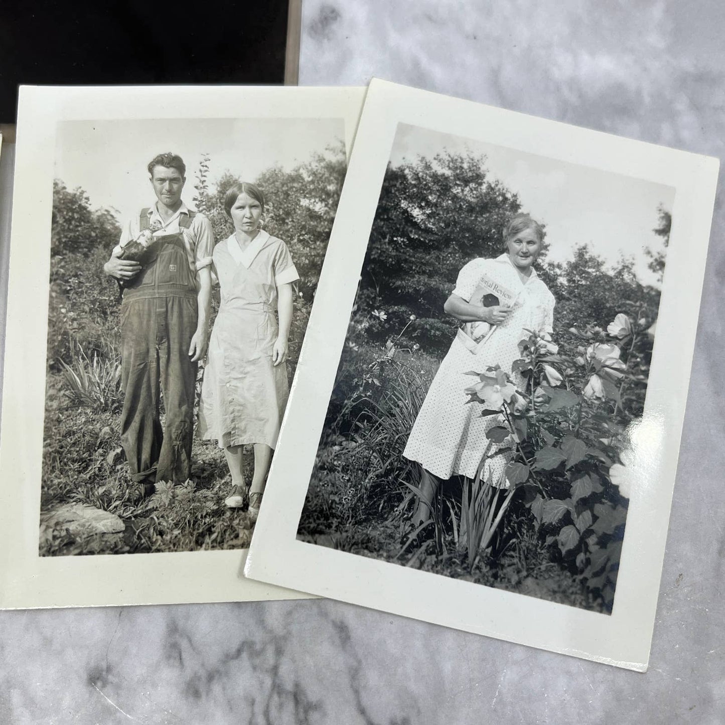 1930s Collection Photos & Negatives From Buck Creek Ranch Rainbow Springs NC TJ8