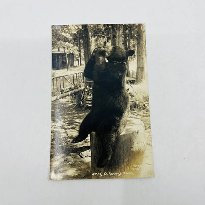 Early 1900s RPPC Captive Black Bear Jerry at Casey’s Camp PA9