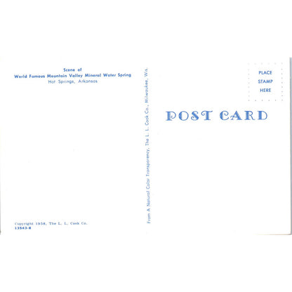 Mountain Valley Mineral Water Spring Hot Springs AR Original Postcard TK1-P1