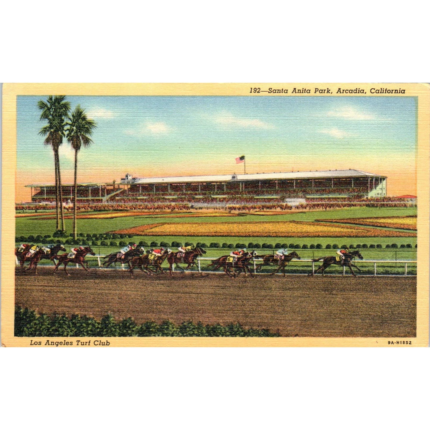 Los Angeles Turf Club Santa Anita Park Horse Race Track Original Postcard TK1-23