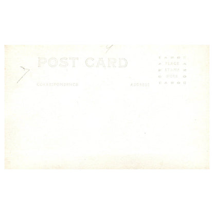 Chinese Wall on Preserve Stecker - Original Postcard RPPC TJ8-4