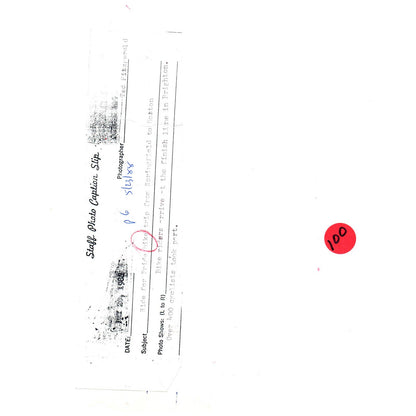 1988 Press Photo Cycling Ride for Pride Bike Trip Springfield to Boston 8x10 AD3