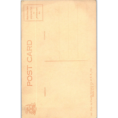 Antique Postcard Artesian Well Puyallup Washington TD9-W2