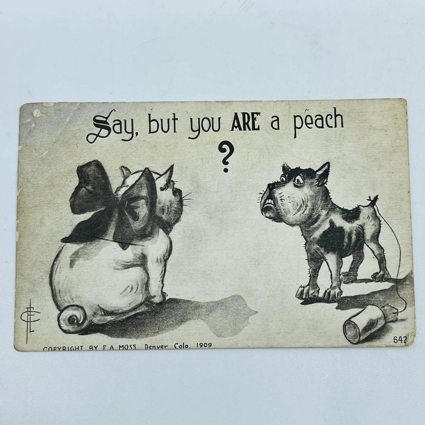 1910s Post Card Humor Illustrated Anthropomorphic Dog & Cat Tin Can String PA6