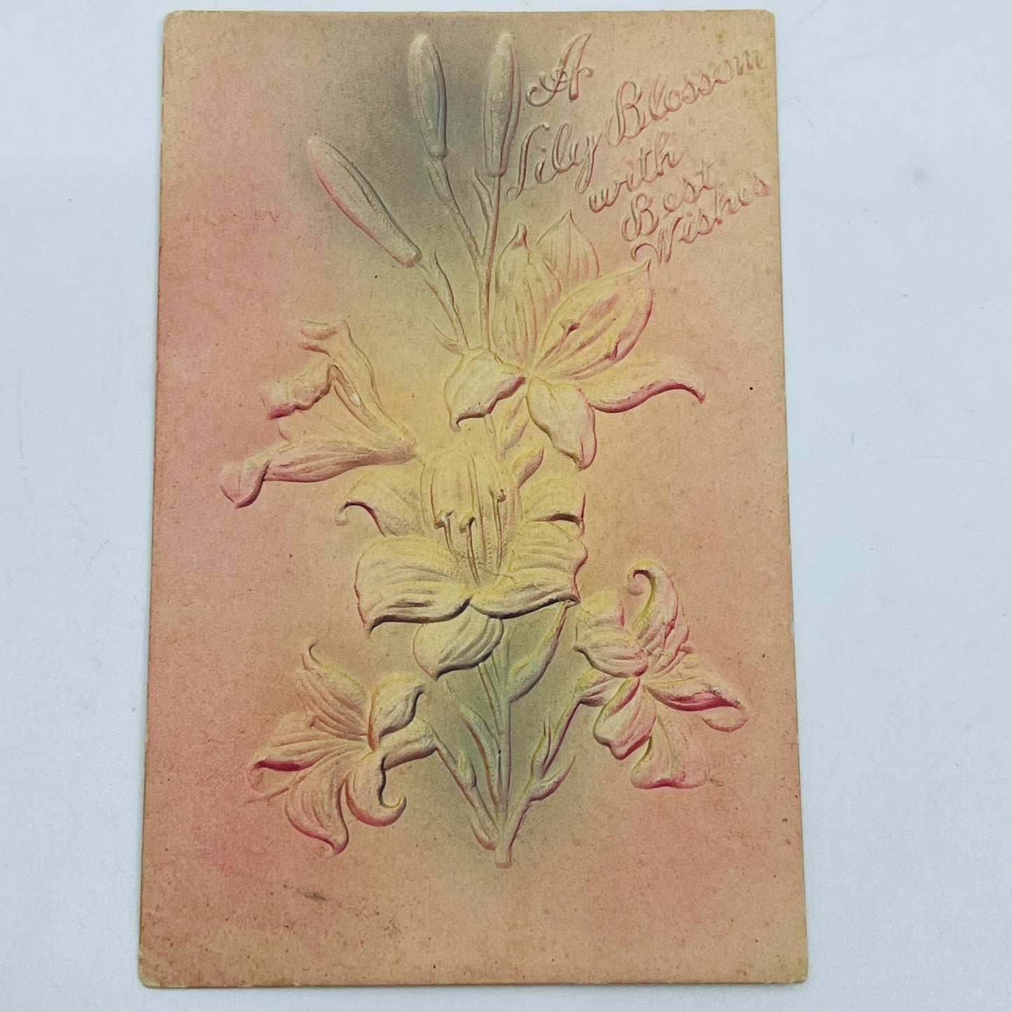 1910s Post Card Embossed Airbrushed Lily Blossom Best Wishes PA6