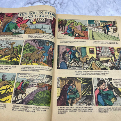 Vintage A Treasury of Dogs Comic Book Dell 1956 TJ3