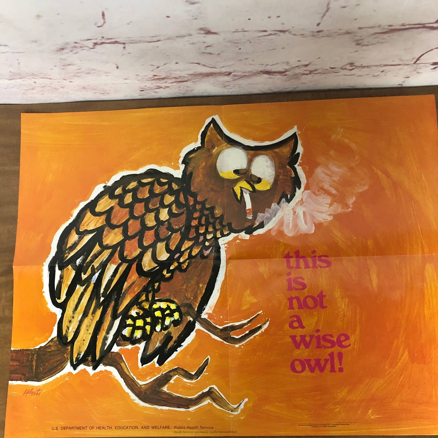 Rare 1970s Anti-Smoking School Poster This is Not a Wise Owl 21 x 16” AC9