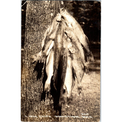 Fishing - Nice Catch, Manistique Michigan Original Postcard P2-7