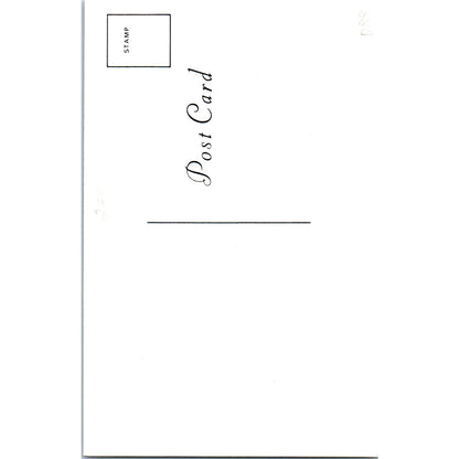 Vintage Girl With Large Bisque Baby Doll Green Tint Original Postcard PB8