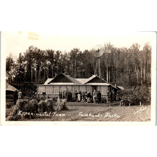 Experimental Farm RPPC Fairbanks Alaska Original Postcard TK1-30