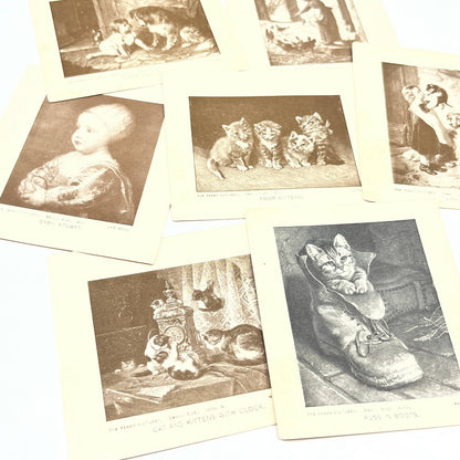 1920s The Perry Pictures Small Size Lot of 7 Dog and Cat Kitten Prints AC2