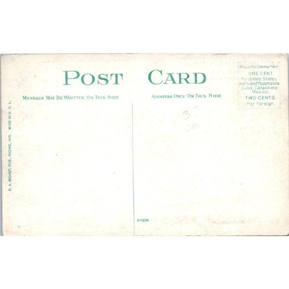 Herding Lambs to Pasture c1910 Original Postcard TK1-21