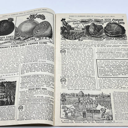 Harry Hammond Seed Co. 1904 Catalog Bay City MI Giant Potato Sensation TF7