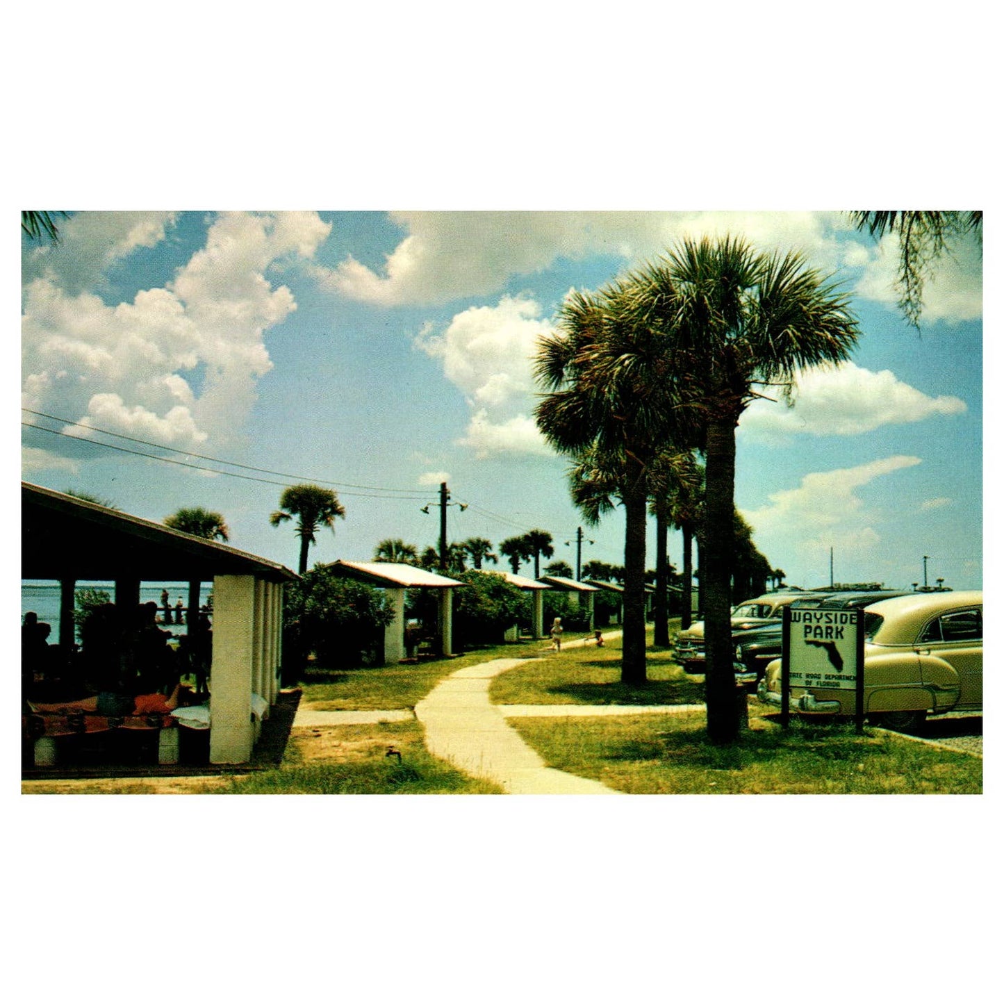 Vintage Postcard - Wayside Park Pensacola Bay Bridge Florida 1954 1952 TJ6-1