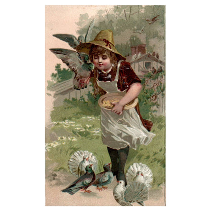 Arbuckles Coffee Girl Feeding Birds - 1880s Victorian Trade Card TJ8-3