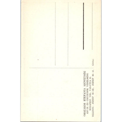 WWII Hungarian Red Cross - Original Postcard TJ9-P1